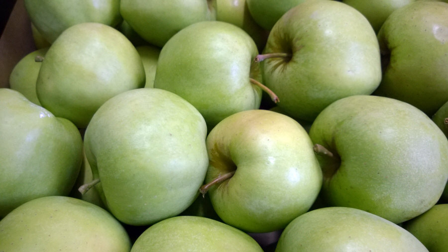 Poľský vývozca ovocia, jablká, hrušky, slivky, čerešne, veľkoobchod Poľsko 01